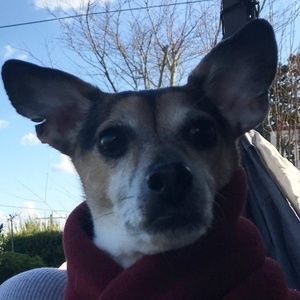 Meet your Posher, Anna